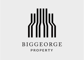 Biggeorge logo